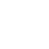 audit seo